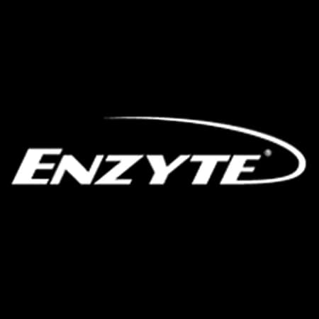 Enzyte