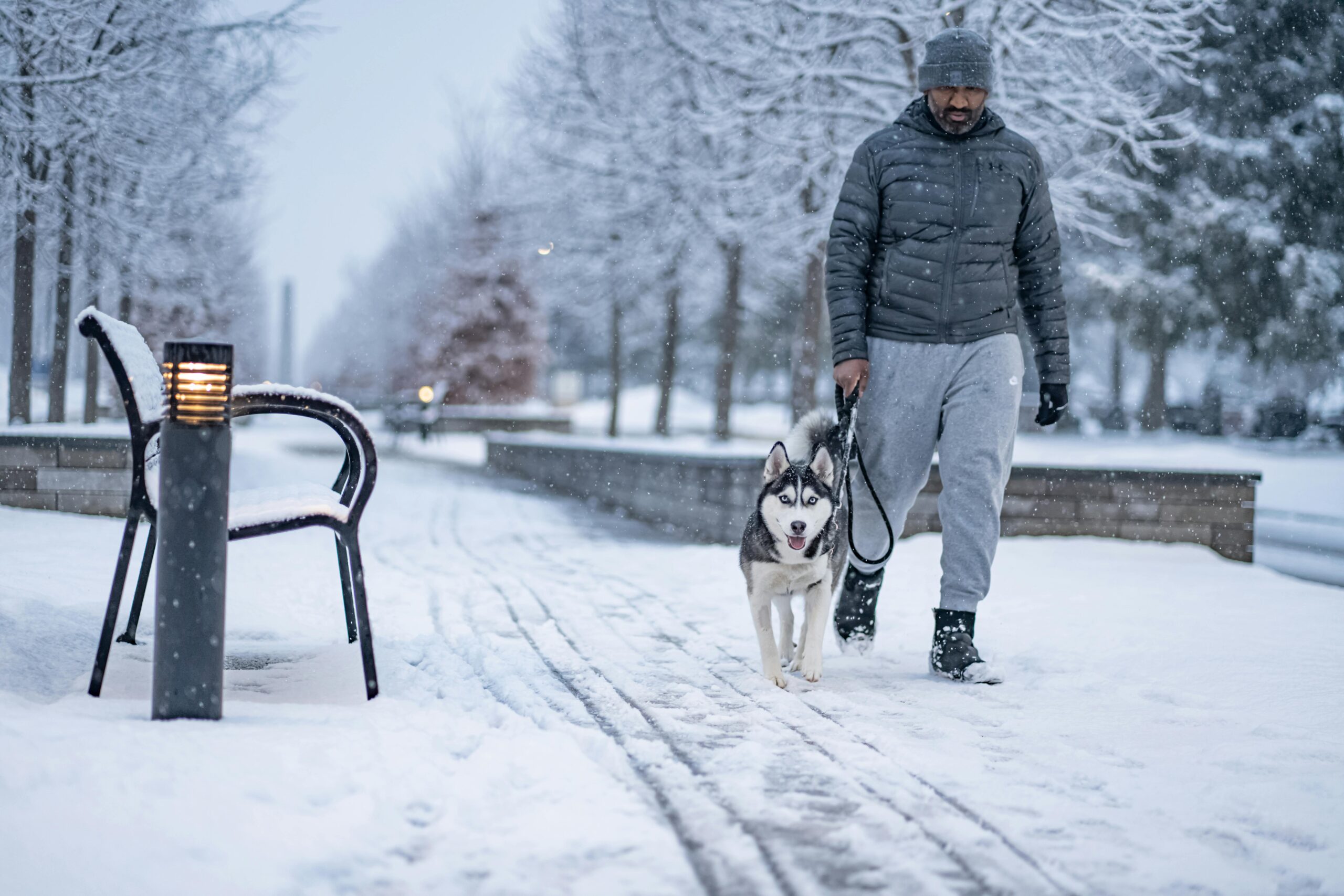 How to Apply Ice Melt Salt Safely to Protect Your Pets and the Environment